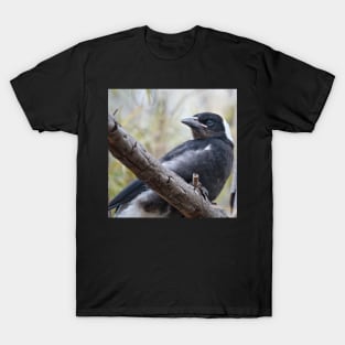 Baby Magpie 1 T-Shirt